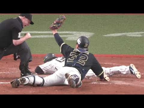 PLAY AT THE PLATE! Team Japan loses to the Orix Buffaloes in dramatic exhibition finish!