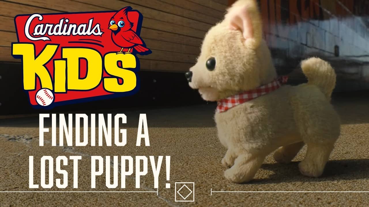 Cardinals KIDS Show - Finding a Lost Puppy!
