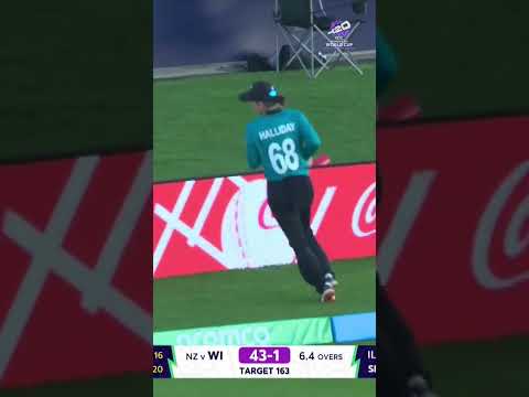 Hayley steps up for the Windies | Women's T20 World Cup 2026