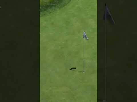 From the Grandstand.. to Par 🤯