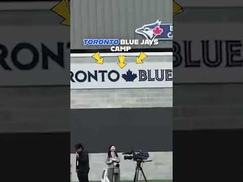 George Springer and the Blue Jays were locked in on the gold medal game 🤣