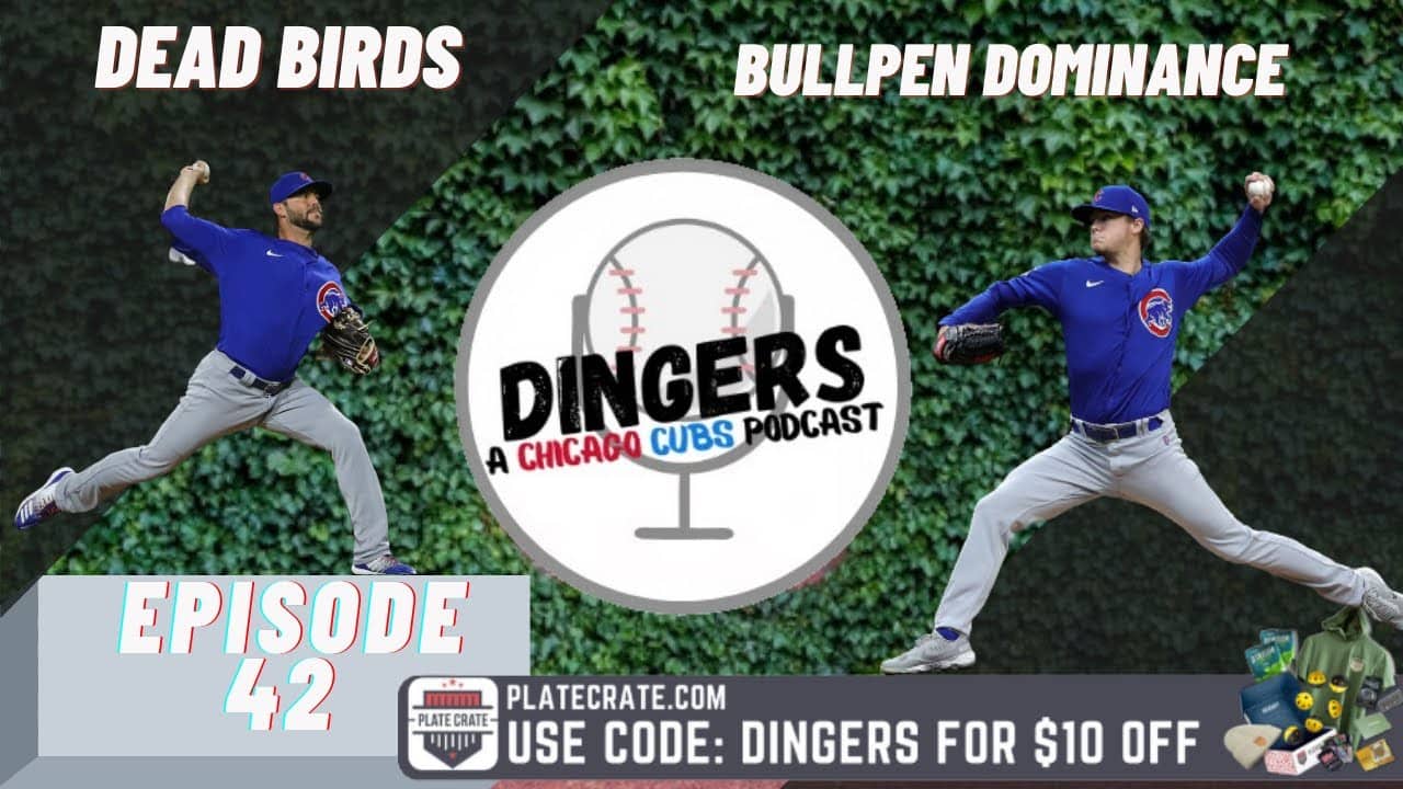 Episode 42- Dead Birds/Bullpen Dominance