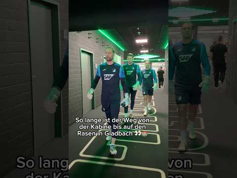 Lang und dunkel 💡 #Hoffenheim #OliverBaumann #LucaPhilipp #Borussia