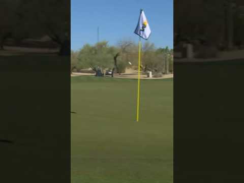 Flagstick for the SAVE ⛳