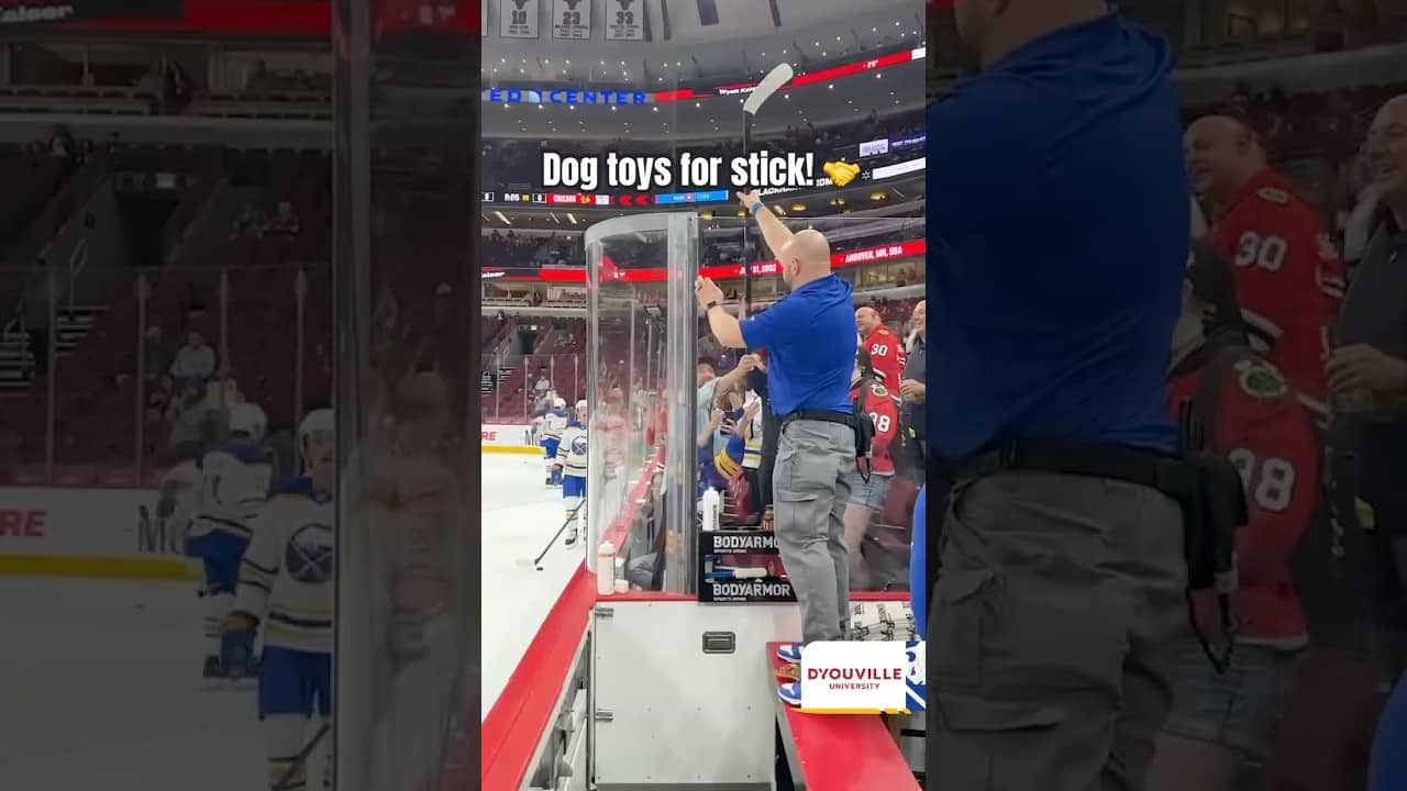 Seems like a fair trade! 🐶 #nhl #buffalosabres #dogs
