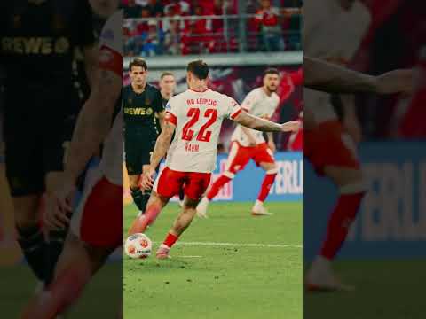 Best Of David Raum 🔥