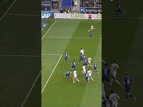 Herrmann, Hazard or Hack - once upon a time in Sinsheim! 😮‍💨 #dieFohlen