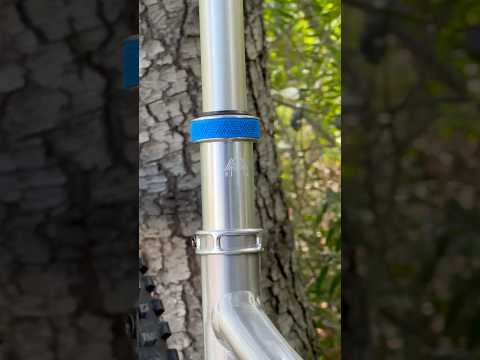 Silver Stanchions are BACK
