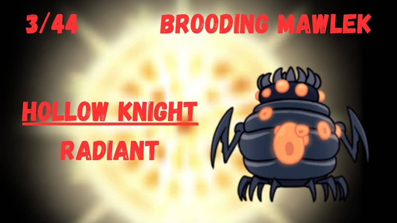 Hollow Knight | Brooding Mawlek | Radiant