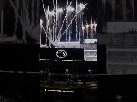 Welcome to the WHITE OUT 🦁