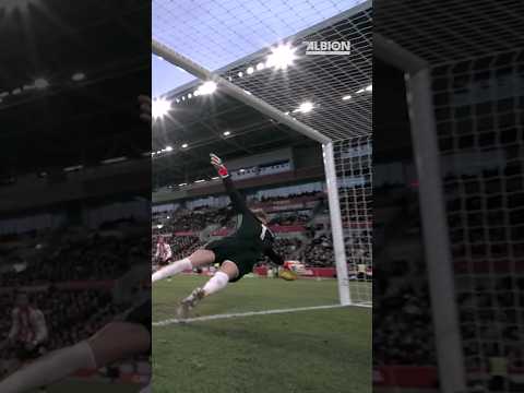 Stunning Stop From Verbruggen 🛑 #bartveruggen #brightonandhovealbion