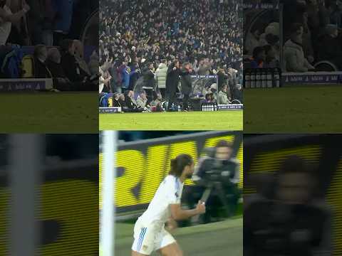 Daniel Farke and Elland Road react to 3-1 win over Chelsea!