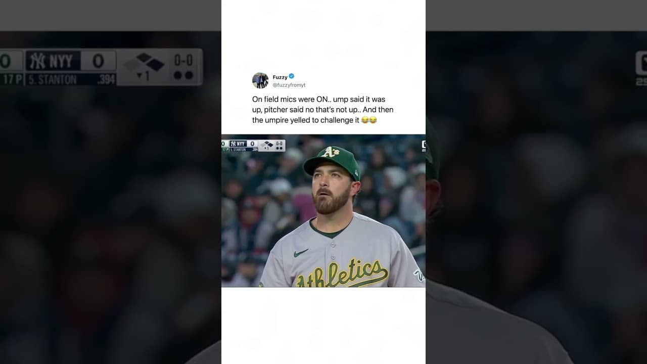 umpire called him out..