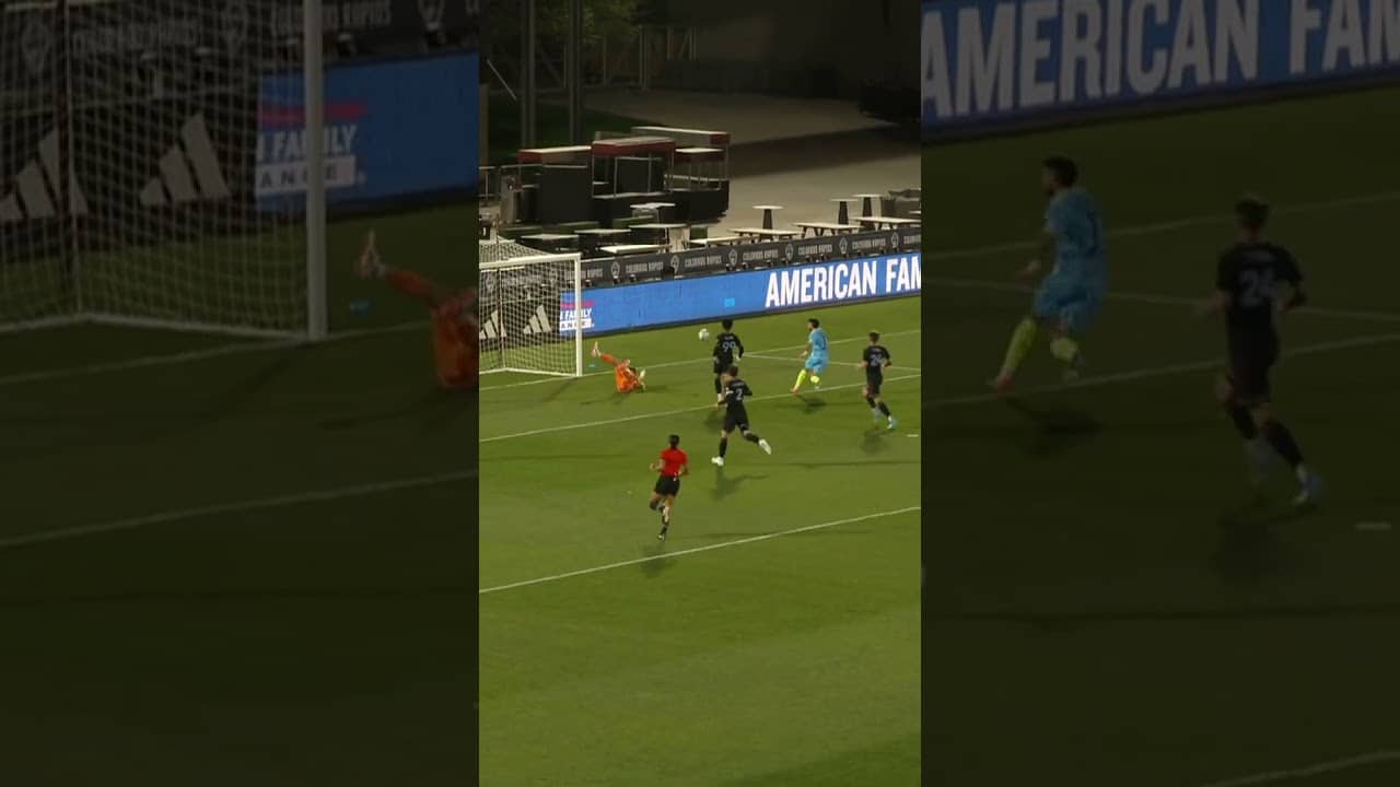 👑🧤 NICO THE REFLEX KING