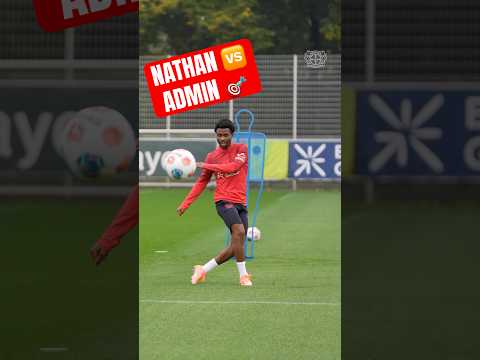 Tella’s got his eye on you, admin! 🎯😅