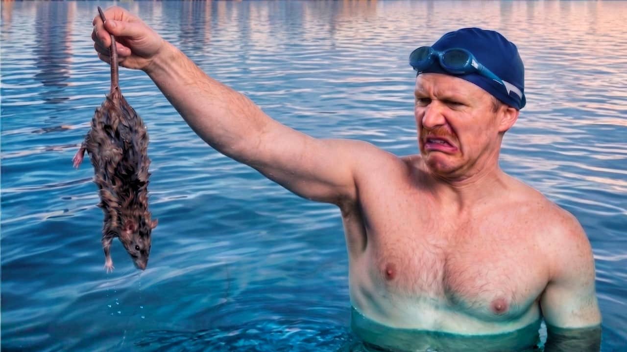 The Brutal Reality of Swimming in NYC (What Nobody Tells You!)