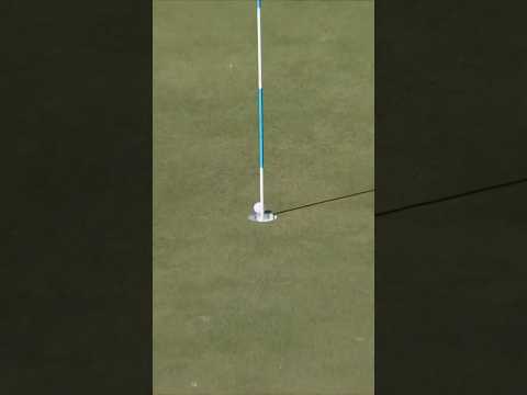 What. A. Shot.🏌️‍♂️Snedeker for 🦅