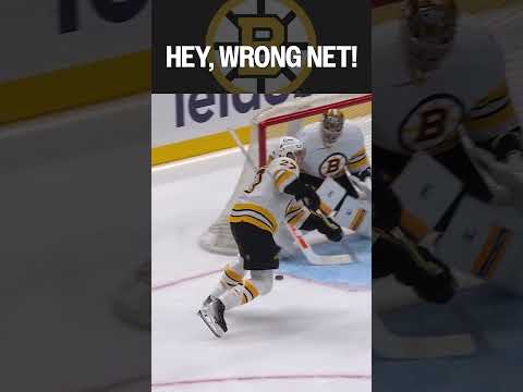 HEY, WRONG NET! 😱