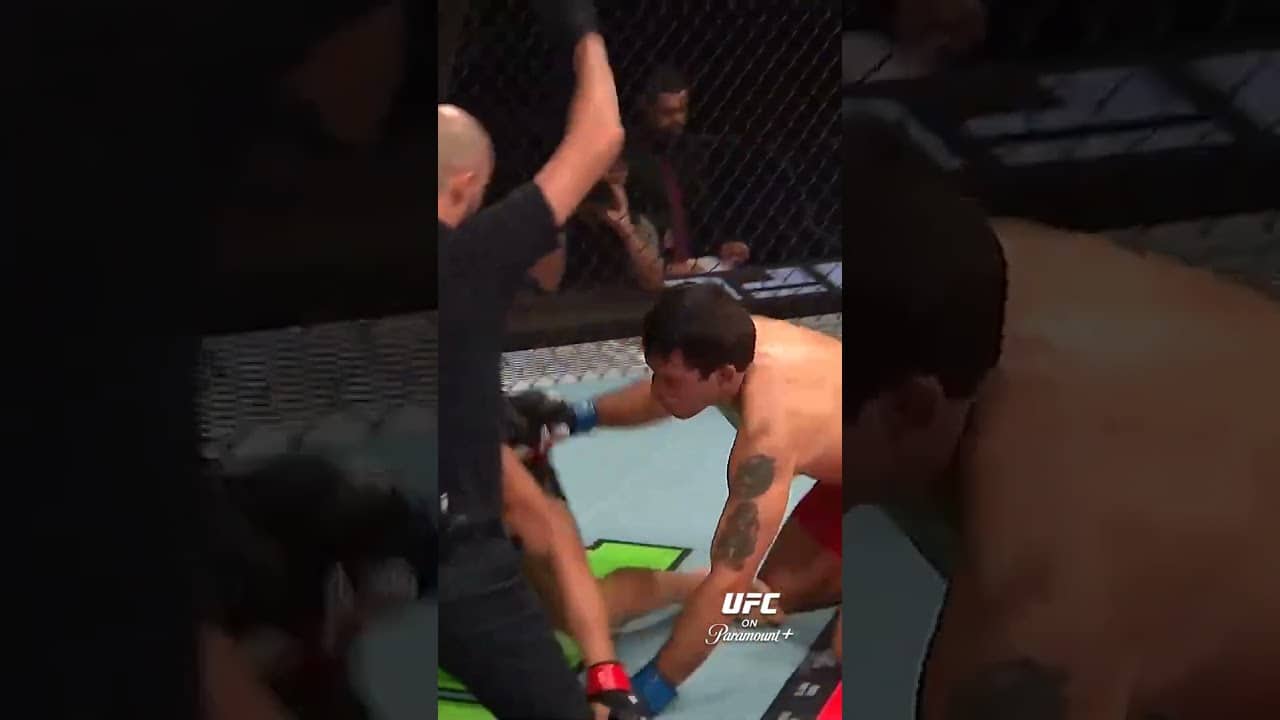 Right on the chin! #ufcmacau