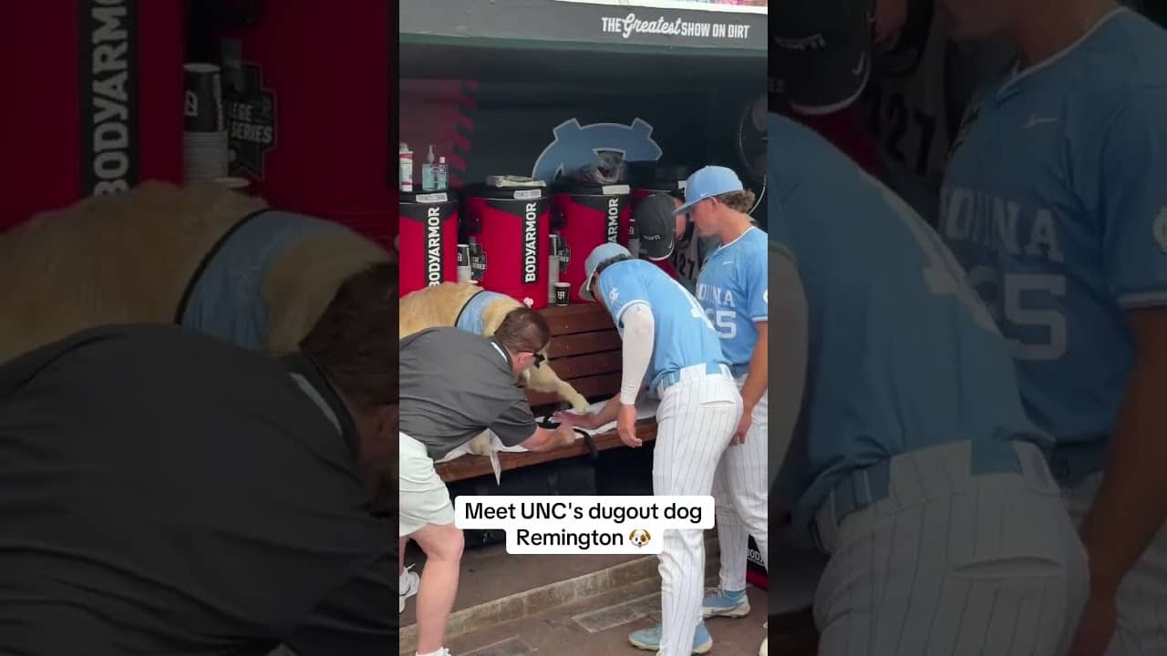 Remington wishing the Tar Heels luck at the MCWS Finals 🩵