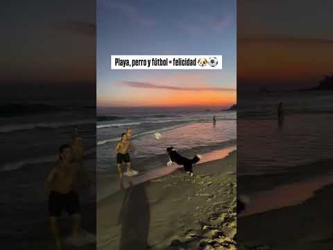 A true best friend (via @dog_altinha/IG)