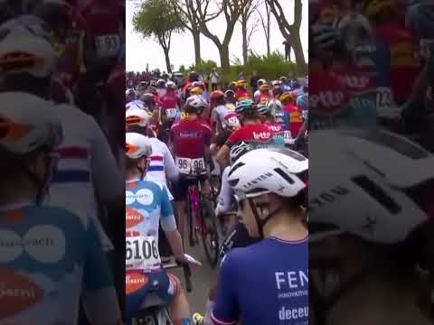 The race neutralisation just meant more time to pet the dogs! 🐶😍