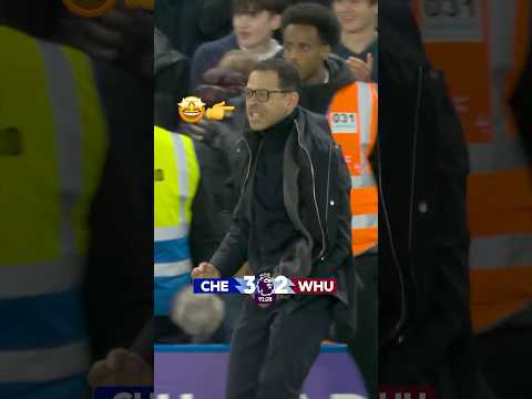 Liam Rosenior’s Reaction To Enzo Fernandez's LATE Winner 🤩