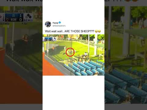 they’re on the field?? 😂