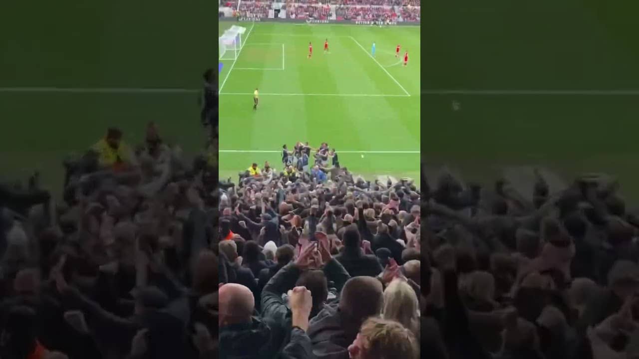 Millwall Limbs Crowd Cam #football #millwallfc #efl