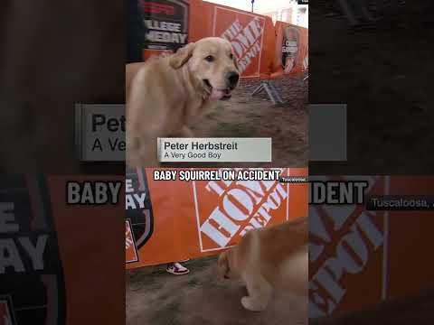 Peter Herbstreit always steals the show before GameDay 🐶