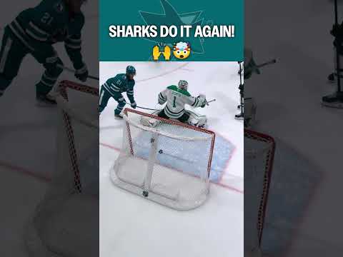 The shark tank is LOUD 🔊🫨