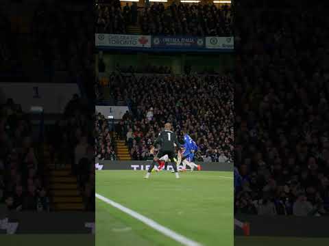 CLINICAL FROM MERINO!