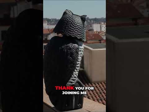 The Strange Way The Vuelta a España 2025 Ended In Madrid: Stage 21