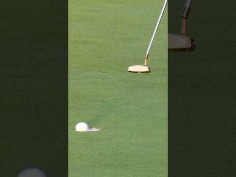 Lip out on 10 DROPS Scottie further 📉