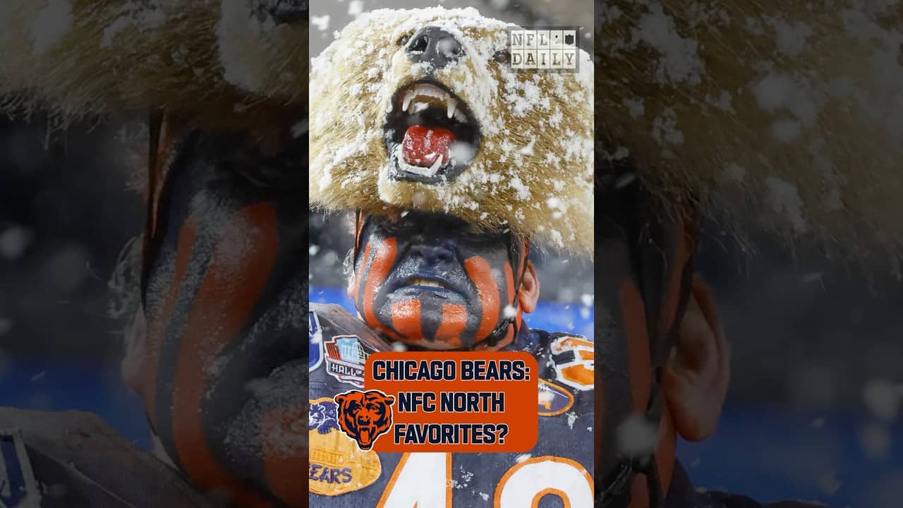 Chicago Bears: NFC North Favorites? | NFL Daily