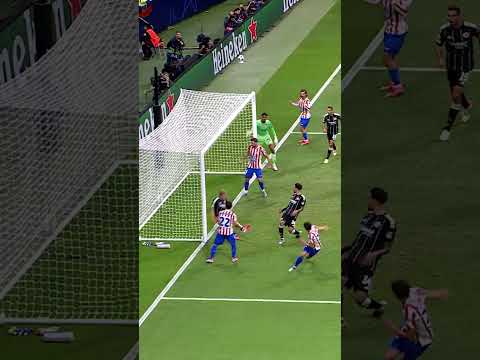 Happy Birthday, Le Normand!