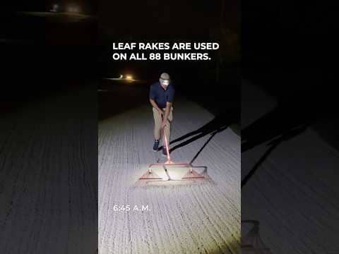 The unsung heroes of the golf course 🙌