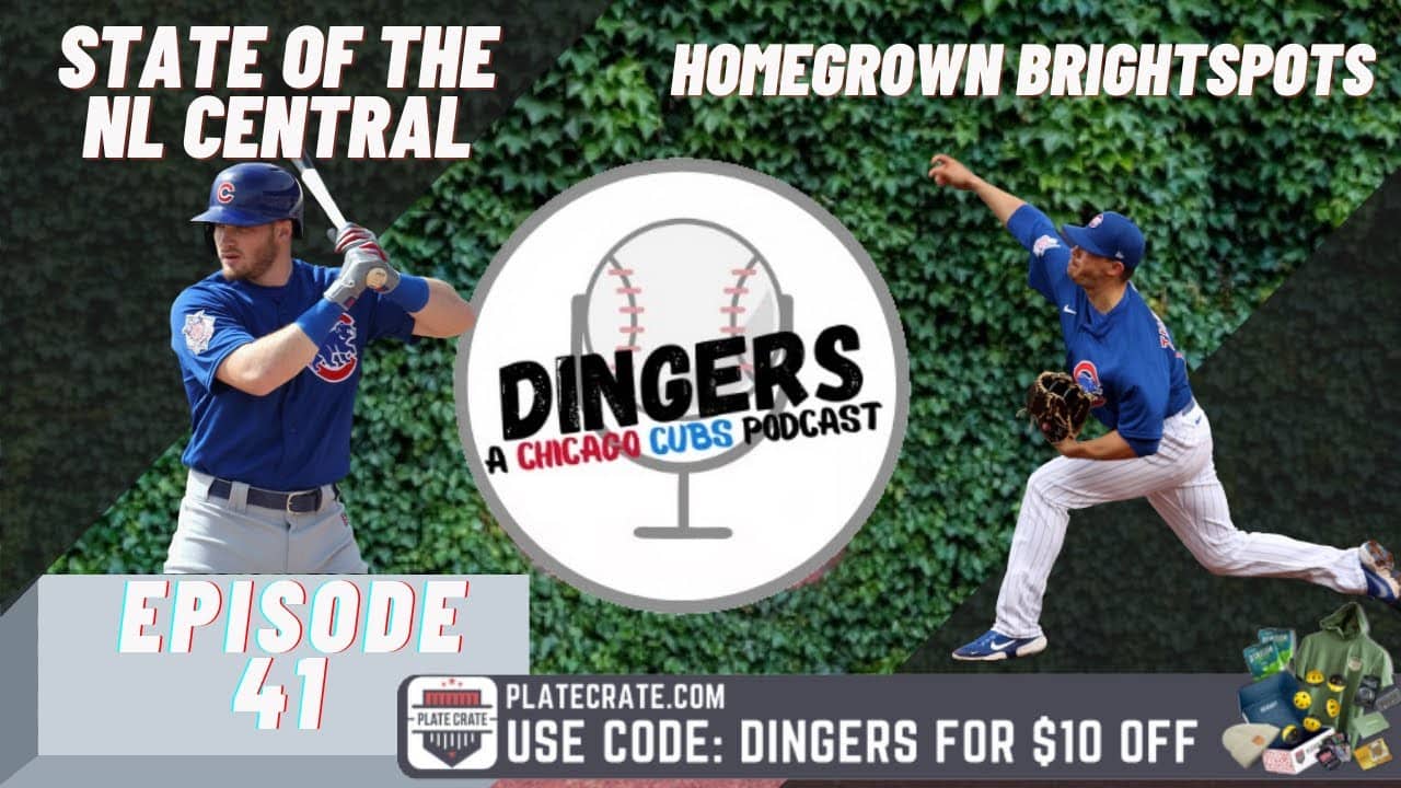 Episode 41- Homegrown Brightspots