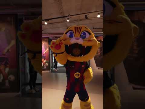 Cat is in love with @EdSheeran 😻 @Spotify  #fcbarcelona  #football #shorts