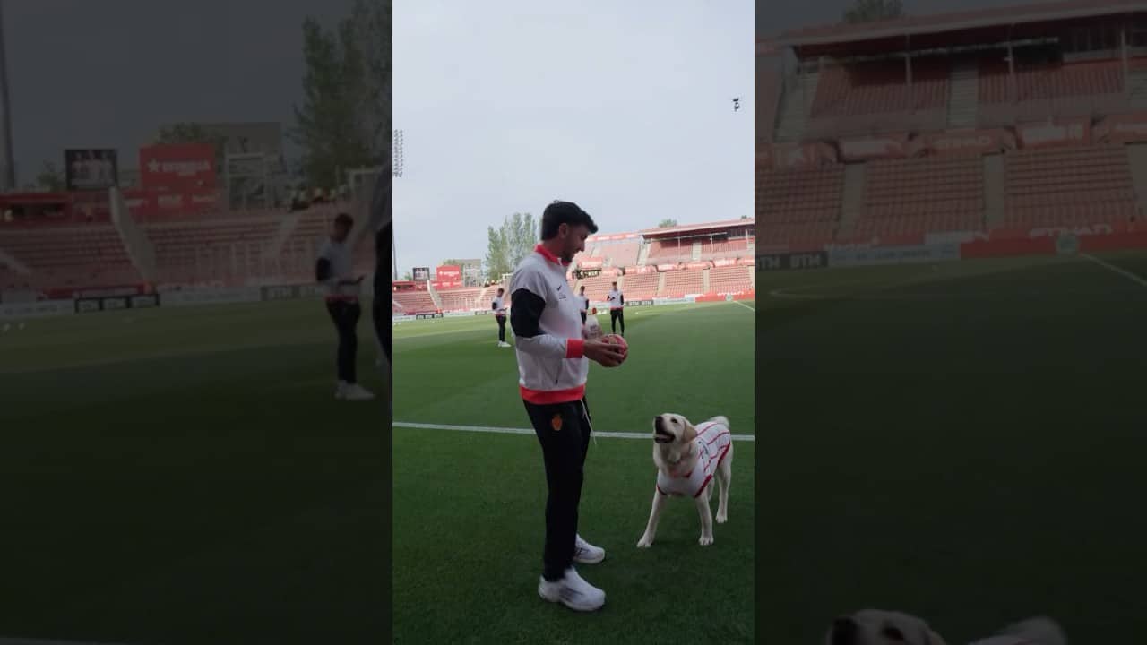 Un regalo para Canya, el perro del Girona 🐶