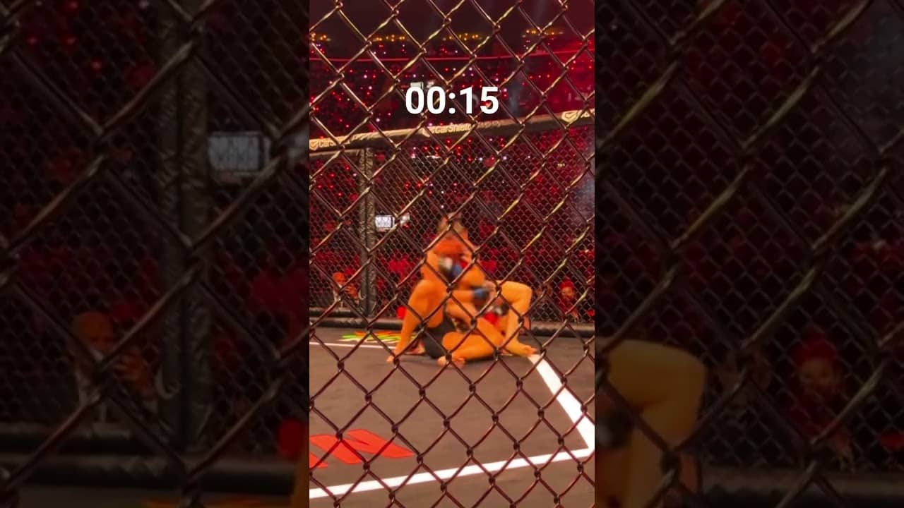 Ronda Rousey defeats Gina Carano in 17 seconds ⚡️ #mma #mixedmartialarts