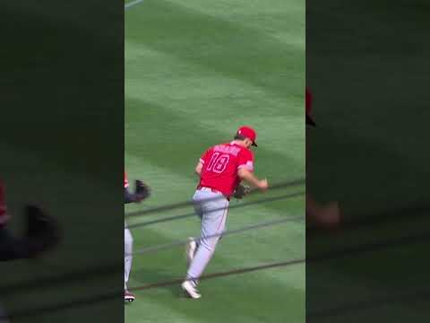 Over-the-shoulder catch from Nolan Schanuel! 😮‍💨