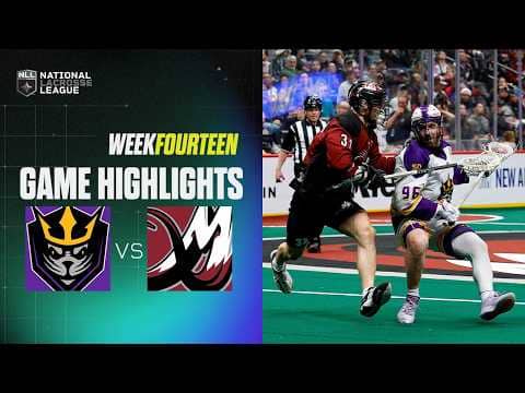 WEEK 14 | SEALS VS MAMMOTH
