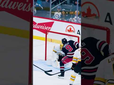 Alex Iafallo goes roof daddy 😮‍💨 #gojetsgo