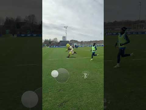 🤣 Shrek 🆚 Bazou 🏃💨 #Hoffenheim #Shrek #BazoumanaToure