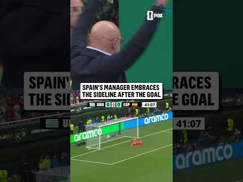 Luis de la Fuente reacts to Spain's go-ahead goal vs Uruguay