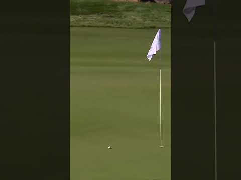 'DOES IT GET ANY COOLER' 🤯