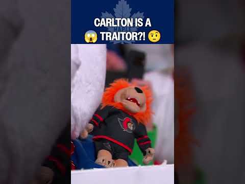 Carlton calls it quits! 🤣