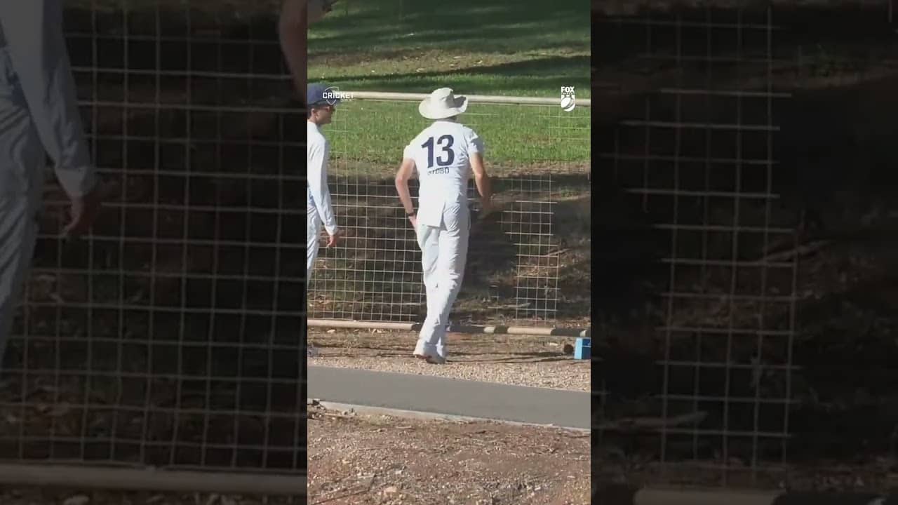 Most bizarre #SheffieldShield moment of the season 