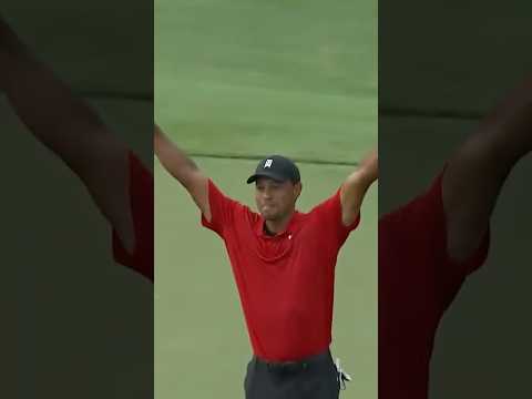 Tiger's ICONIC Tour Championship win🐅